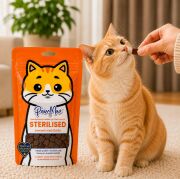 PawMax Somonlu Kedi Ödülü